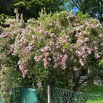Haus Am Kuhsee * Аугсбург