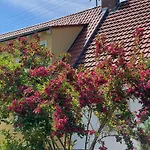 Homestay szállás Haus Am Kuhsee *