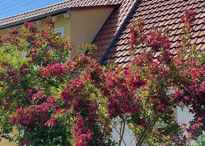 בית אירוח Haus Am Kuhsee *