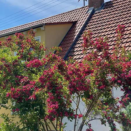 Homestay Haus Am Kuhsee *